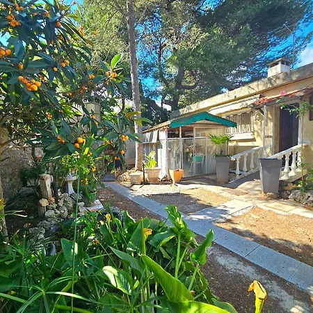 Des Cedres La Franqui Tatil Evi Leucate