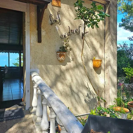 Tatil Evi Des Cedres La Franqui