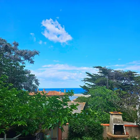 Des Cedres La Franqui * Leucate